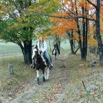 Black Mountain Recreation Area